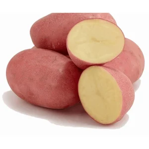 2 Lbs Red Potato Seeds for Planting - Whole Tubers - Vegetable Seeds - Image 4