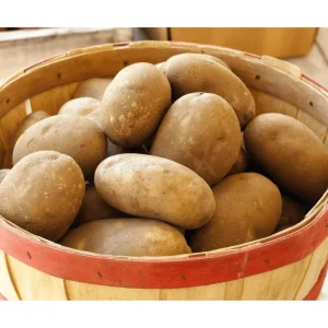 2 Lbs Russet Potato Seeds for Planting - Whole Tubers, Outdoor - Image 2