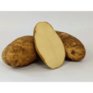 2 Lbs Russet Potato Seeds for Planting - Whole Tubers, Outdoor - Image 5