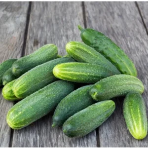 2 Marketmore Cucumber Live Plants - Heirloom Vegetable for Garden, 3-5 Inch Tall - Image 7