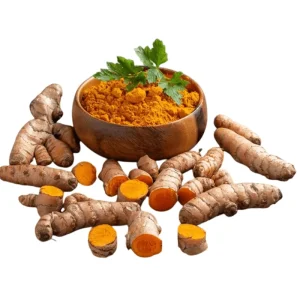 20 Fresh Turmeric Rhizomes - Curcuma Longa Live Herb Tubers for Planting - Image 4