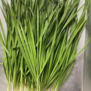 20 Live Garlic Chive Plants – Bare Root Culinary Herb for Garden & Containers - Image 4