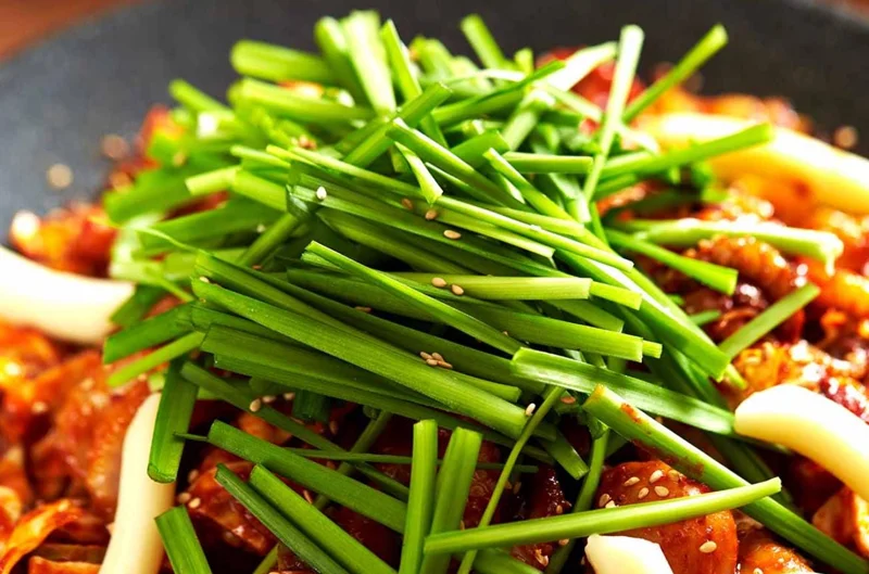 20+ Live Garlic Chive Plants – Fresh Culinary Herb – Indoor/Outdoor - Image 6