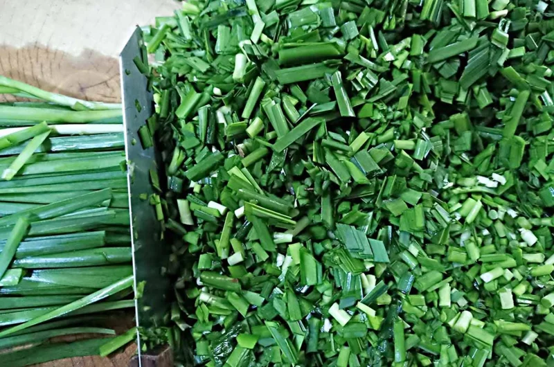 20+ Live Garlic Chive Plants – Fresh Culinary Herb – Indoor/Outdoor - Image 7