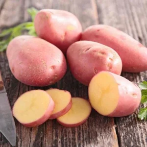 210 Red Potato Seeds for Planting - Easy Grow, Red-Skinned Potato Seeds - Image 3
