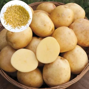 210 Yukon Gold Potato Seeds for Planting - Easy Grow Vegetable Seeds - Image 1