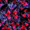 25 Coleus Black Dragon Lulu Seeds - Rare Dark Foliage Ornamental Plant - Image 1