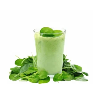 3 Longevity Spinach Live Plants, Gynura Procumbens, Edible Herb, 4-8 Inch Tall - Image 3