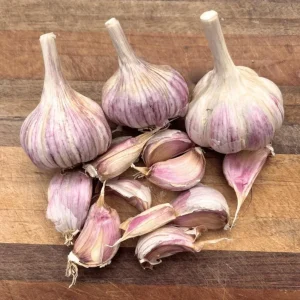 4 Chesnok Red Hardneck Garlic Bulbs for Planting & Gardening - Image 5