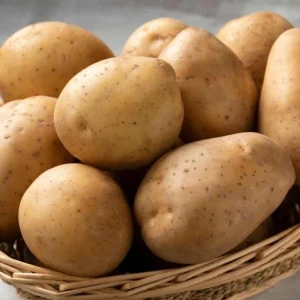 4 Fresh Baby Yellow Potatoes Live Plants - Culinary Vegetable - Image 2