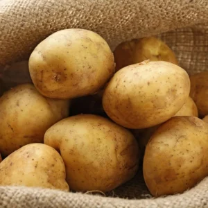 4 Fresh Baby Yellow Potatoes Live Plants - Culinary Vegetable - Image 4