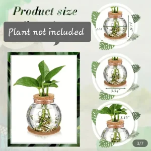 4 inch Round Plastic Desktop Terrarium with Cork Lid - Hydroponic Propagation Vase Planter - Image 2