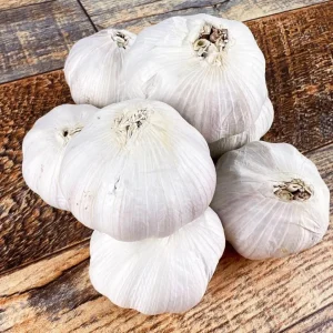 4 Music Garlic Bulbs for Planting – Hardneck Garlic Tubers – White Garlic - Image 4