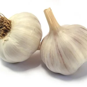 4 Polish Hardneck Garlic Bulbs for Planting - White Garlic Tubers - Image 4