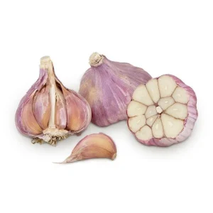 4 Red Russian Garlic Bulbs for Planting - Hardneck Garlic for Gardening - Image 5