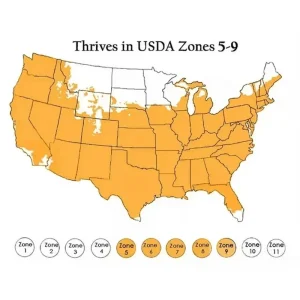 42-Day Tomato Seeds - World's Fastest Ripening Heirloom - 25+ Premium Seeds - Image 7