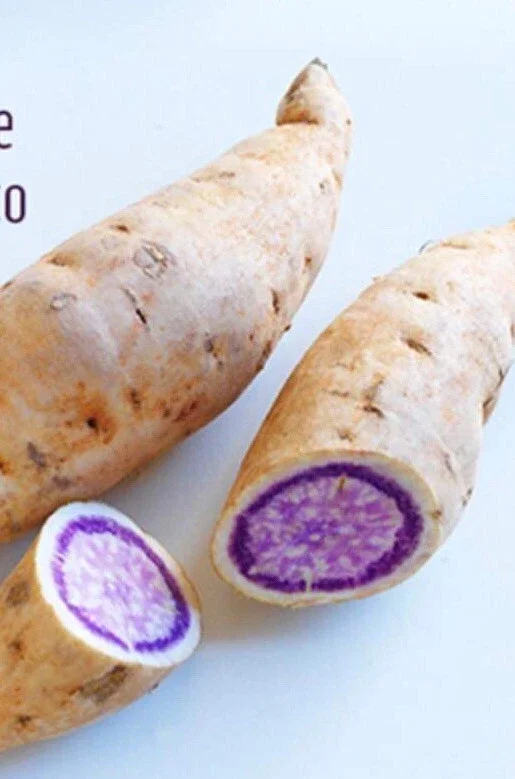5 Purple Okinawa Sweet Potato Live Plants - Edible Tuber, Full Sun - Image 3