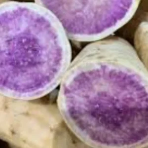5 Purple Okinawa Sweet Potato Live Plants - Edible Tuber, Full Sun - Image 6