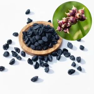 50 Egyptian Walking Onion Seeds - Perennial Outdoor Planting, Hardy & Low-Maintenance - Image 1