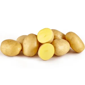 60 Gold Yukon True Potato Seeds - Heirloom Yellow Potato Vegetable Seeds - Image 5