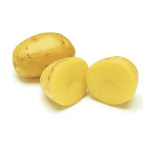 60 Gold Yukon True Potato Seeds - Heirloom Yellow Potato Vegetable Seeds - Image 6