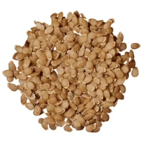 60 True Potato Seeds Mixed Colors - Heirloom Vegetable Seeds for Growing - Image 2