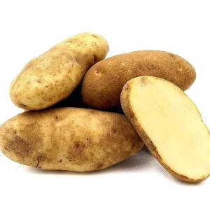 70 Mixed Potato Seeds for Planting – Heirloom Vegetable Seeds – Grow Your Own Tubers - Image 5