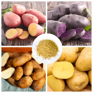 70 Mixed Potato Seeds for Planting – Heirloom Vegetable Seeds – Grow Your Own Tubers - Image 1