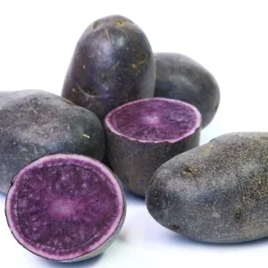70 Purple Potato Seeds for Planting - Easy Growing Sweet Potato Seeds - Image 6