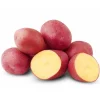 70 Red Potato Seeds for Planting - Easy Growing Red-Skinned Potatoes - Image 1
