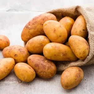 70 Russet Potato Seeds for Planting - Heirloom Vegetable Garden - Image 2