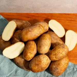 70 Russet Potato Seeds for Planting - Heirloom Vegetable Garden - Image 4