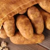 70 Russet Potato Seeds for Planting - Heirloom Vegetable Garden - Image 1
