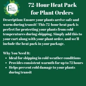 72 Hour Heat Pack - Premium Aluminum Foil Insulation for Winter Plant Shipping - Image 2
