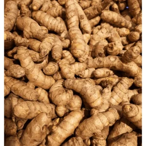 8 Fresh Turmeric Rhizomes - Curcuma Longa Live Herb Tubers for Planting - Image 4