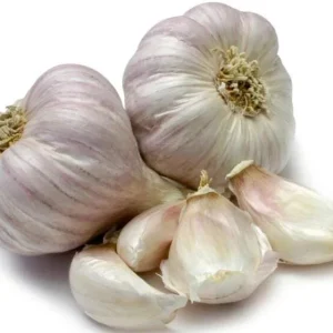 8 Mixed Hardneck Garlic Bulbs for Planting - White Red Purple Garlic Tubers - Image 3