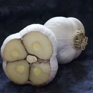 8 Organic Garlic Bulbs Multi-Size Mixed Varieties Chesnok Red, Music, Italian for Planting & Eating - Image 3