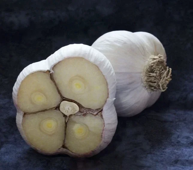 8 Organic Garlic Bulbs Multi-Size Mixed Varieties Chesnok Red, Music, Italian for Planting & Eating - Image 3