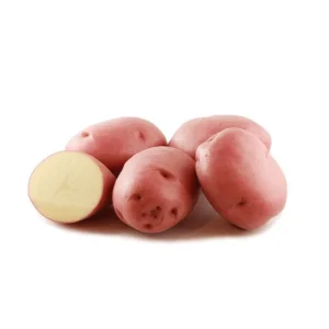 8 Small Red Potato Seeds for Planting - Mini Red Potato Tubers - Image 3