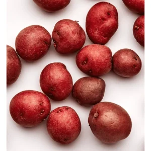 8 Small Red Potato Seeds for Planting - Mini Red Potato Tubers - Image 5