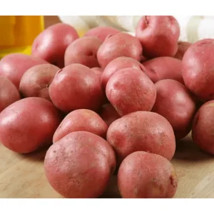 8 Small Red Potato Seeds for Planting - Mini Red Potato Tubers - Image 6