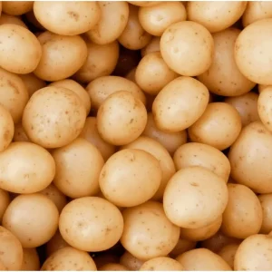 8 Small Yellow Potato Seeds - Whole Tubers for Planting - Image 1