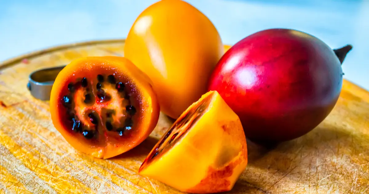 Red vs. Gold Tamarillos Tree Tomato Live Plant