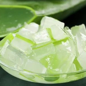 Aloe Vera Live Plant - Set of 2 Small Seedlings in 4-inch Pots - Succulent - Image 3