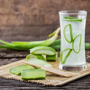 Aloe Vera Live Plant - Set of 2 Small Seedlings in 4-inch Pots - Succulent - Image 6