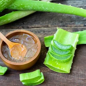 Aloe Vera Live Plant - Small Seedling - 4 Inch Pot - Indoor Succulent - Image 8