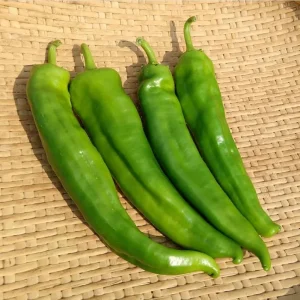 Anaheim Pepper Live Plant - 2 Pack, 3-5 Inch Tall, Hot Pepper, Outdoor - Image 5