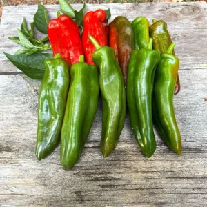 Anaheim Pepper Live Plant - 2 Pack, 3-5 Inch Tall, Hot Pepper, Outdoor - Image 6