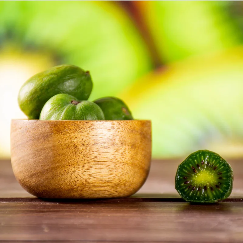 Anna Hardy Kiwi Female Live Plant – 5-9 Inch Tall Kiwi Vine – Outdoor Fruit Plant - Image 3