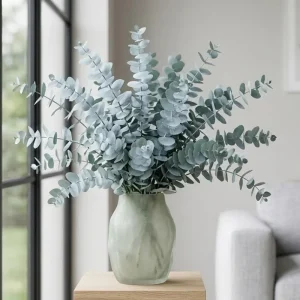 Baby Blue Eucalyptus Live Plant – 2.5 Inch Pot – Cold Hardy Tree – 3-5 Inch Tall - Image 2